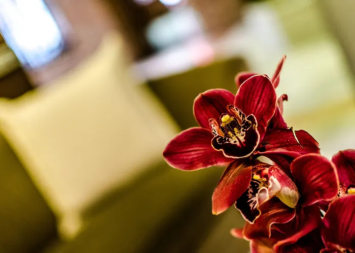 Hotell Yit Casablanca