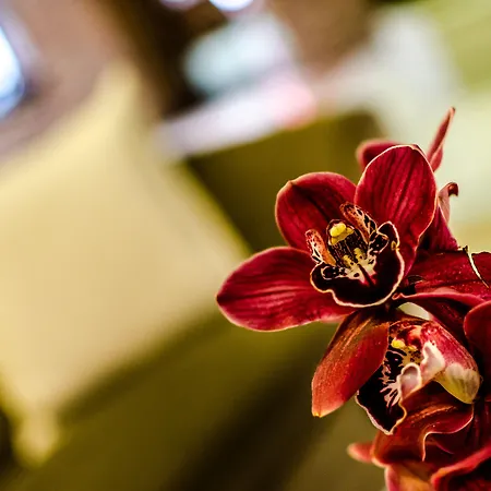 Hotel Yit Casablanca